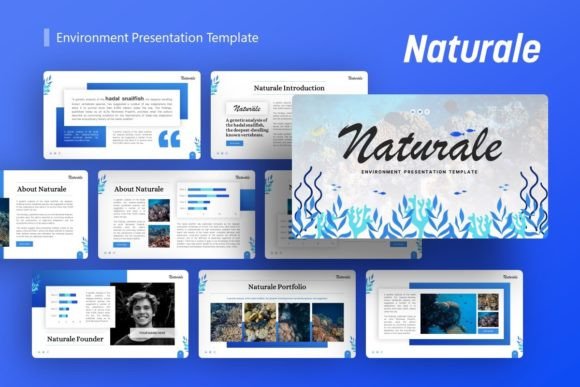 Choosing the Right Presentation Template: Why Naturale Might Be Your Best Option